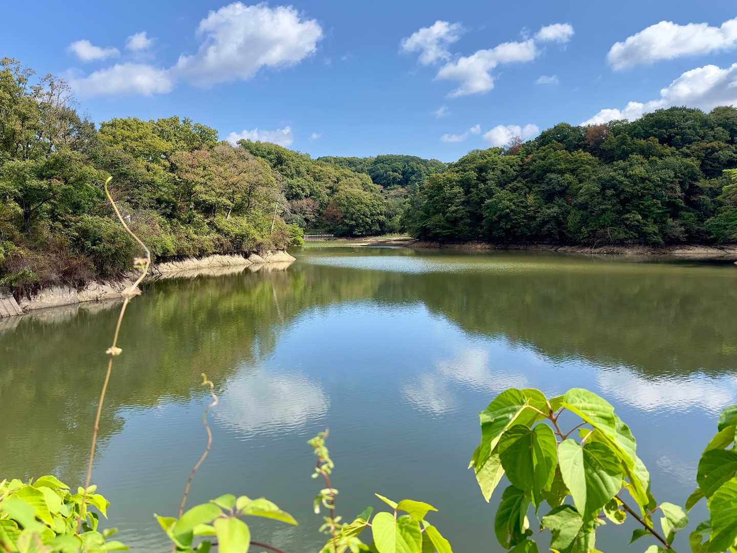 白旗池へ来ましたが
水位が2m以上 下がっているようです