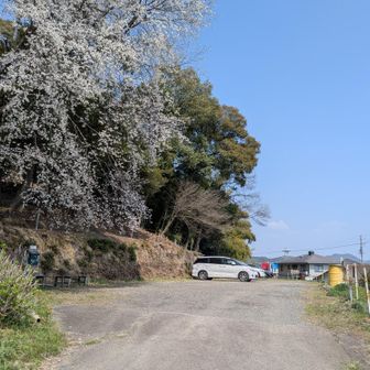 到着
お疲れやまでした