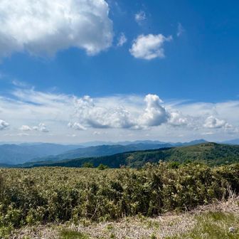一番手前の緑のピークは氷ノ山三の丸。その後ろは岡山県最高峰の後山のはず
左の方は雪彦山やら七種山が見えてるはず
