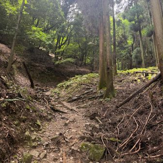 メインルート北側からメガネの辻へ