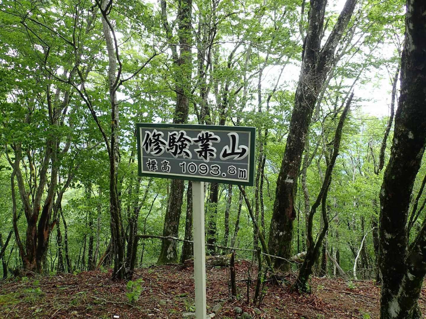 修験業山着。