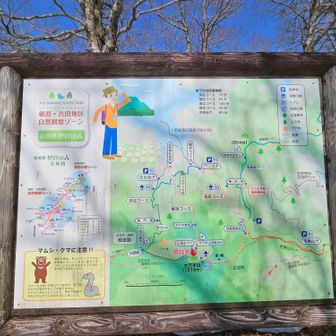 案内板があった。