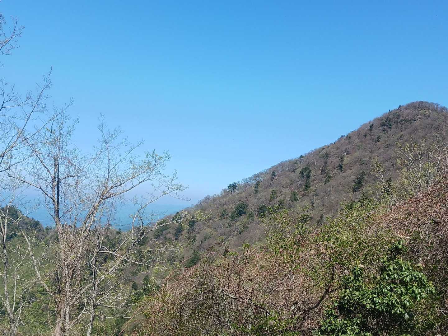 七年山〜桑原山（手前の分岐まで）に行くときのラストの登りもキツかったなぁ😂😂😂あれを歩いたのね🙈🙈🙈