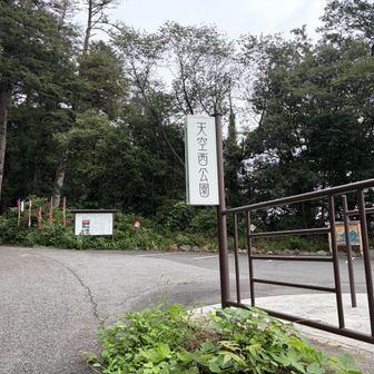 天空のテラス入口