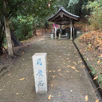 この石にハッとしました