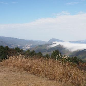 平尾台方面には雲海が見られる⛅️