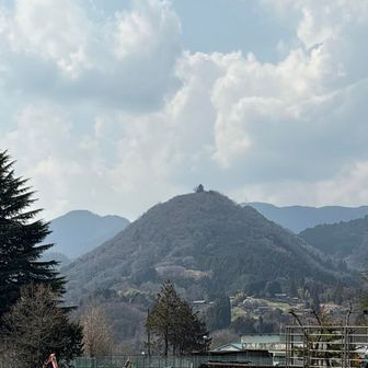 最初に登る要害山　目立つ山頂の木😂