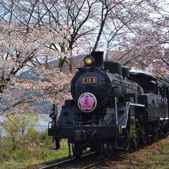 かず
