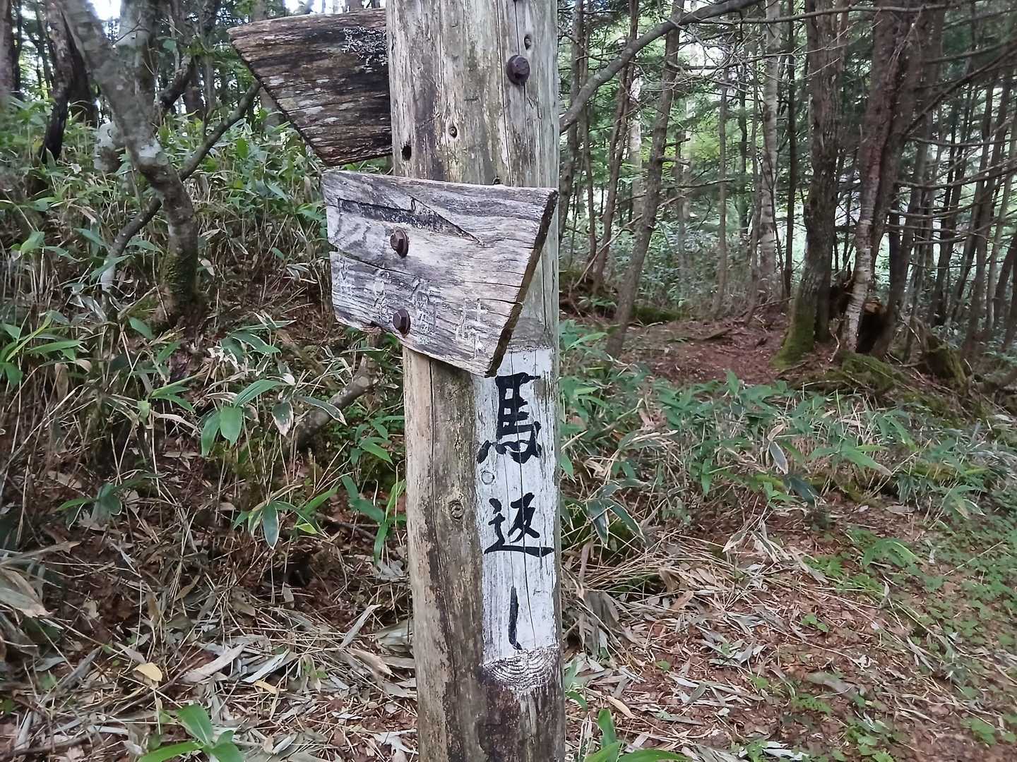 馬返し🏇