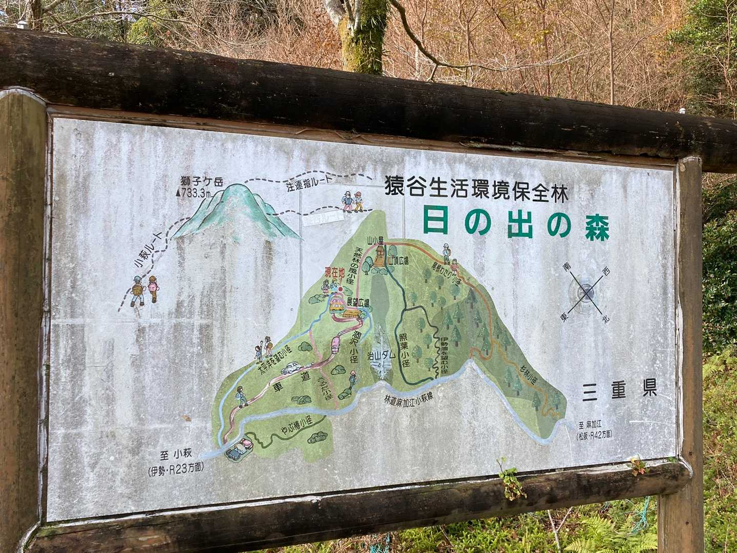 日の出の森から