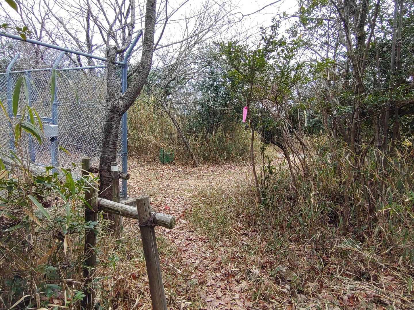 行きに通り過ぎていた場所に出ました
施設は目に入ってましたが、奥のルートには気付いてなかったですねー