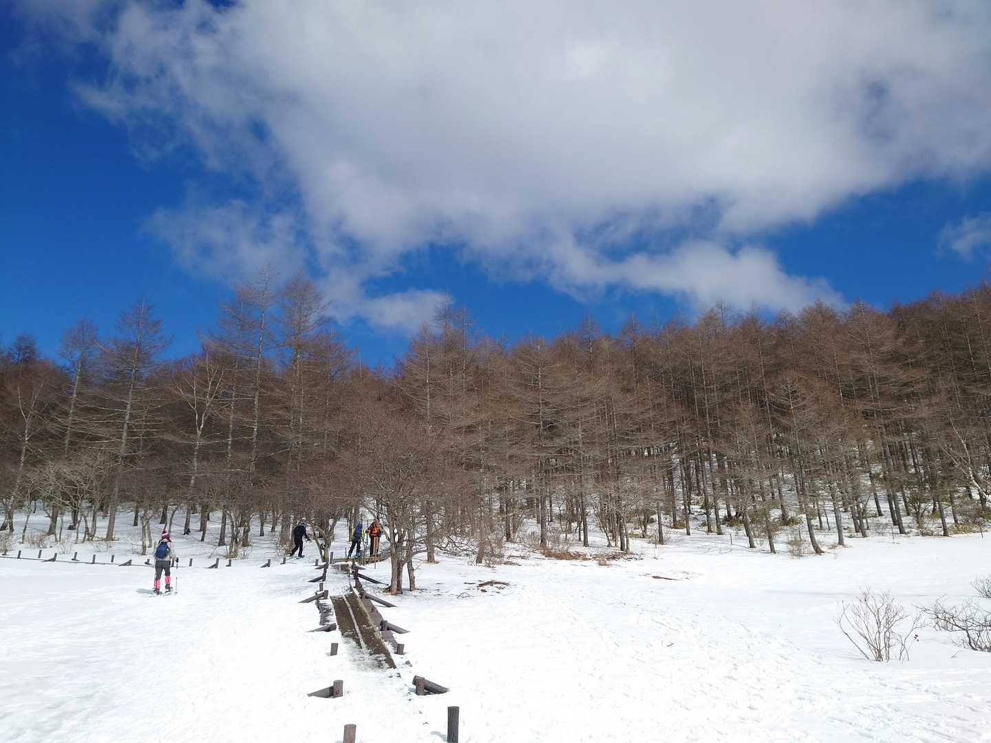 入笠山 周回コースの写真