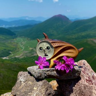 ケムタク（Kemutaku）