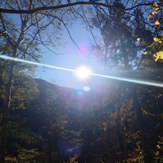 太陽が出てきましたね☀
気温が徐々に上がってきてます🌡️