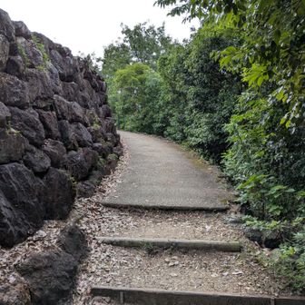 来た道