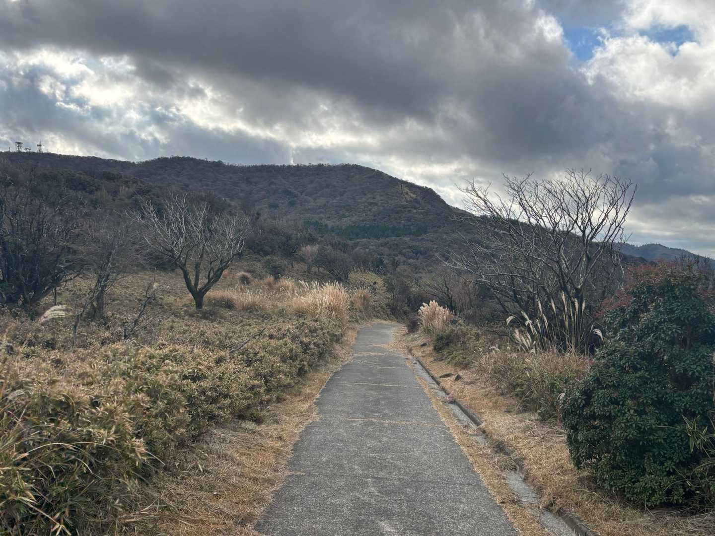 金冠山から戸田峠へ一旦下ります