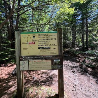 前掛山への分岐
ここからは未踏の地、ワクワク☺️