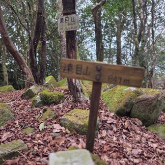 眺望はなし
国見岳へは行かず折り返します