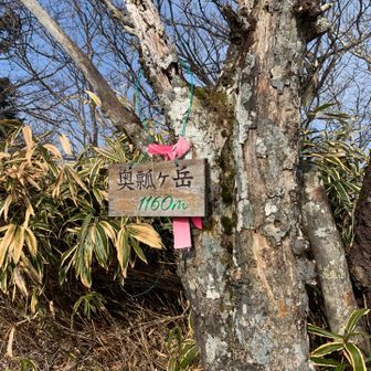 分岐へ戻り15分で奥瓢ヶ岳
皆さんこの先行って周回しているみたいで誰とも会わず