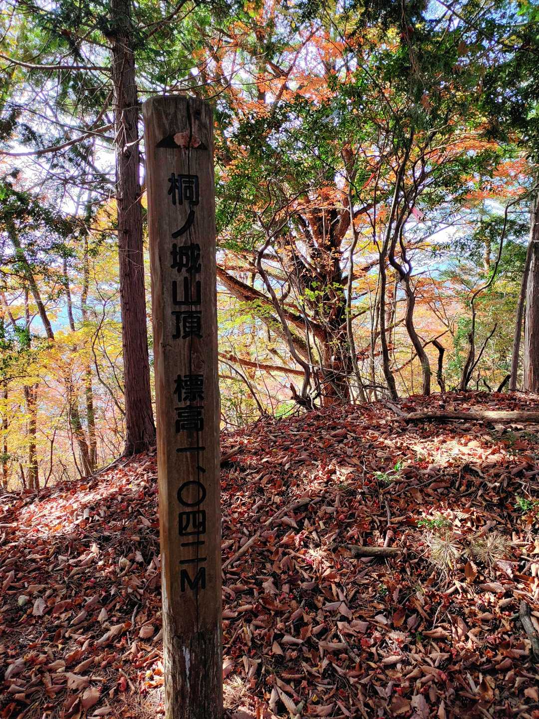 桐ノ城山の写真