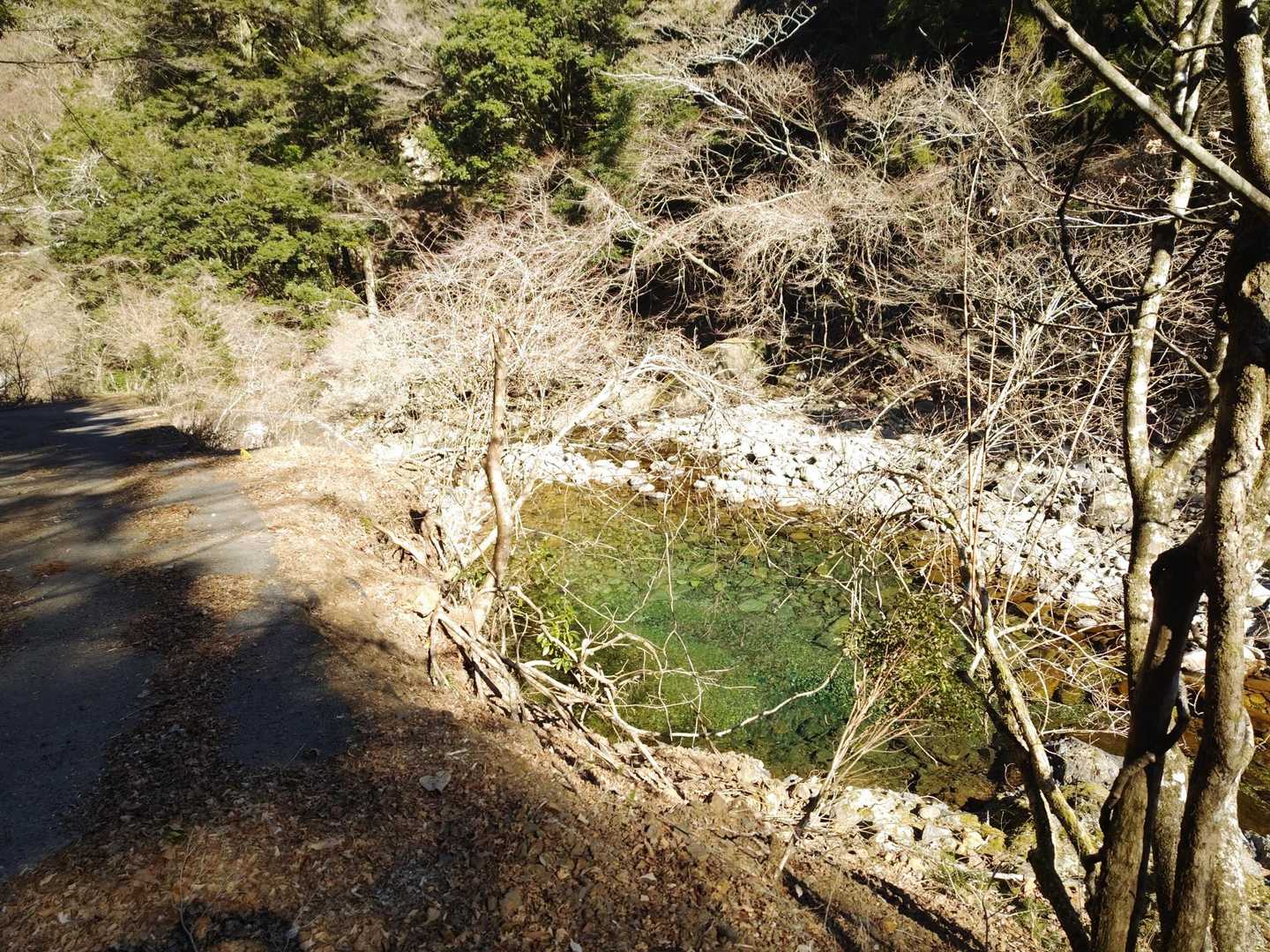 帰りも綺麗な古川を眺めながら
テクテク歩きます🎵
