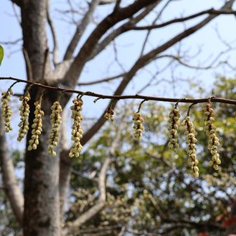 えーとなんだっけ