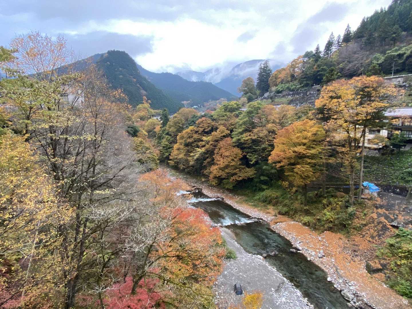 少し明るくなってきたかな？