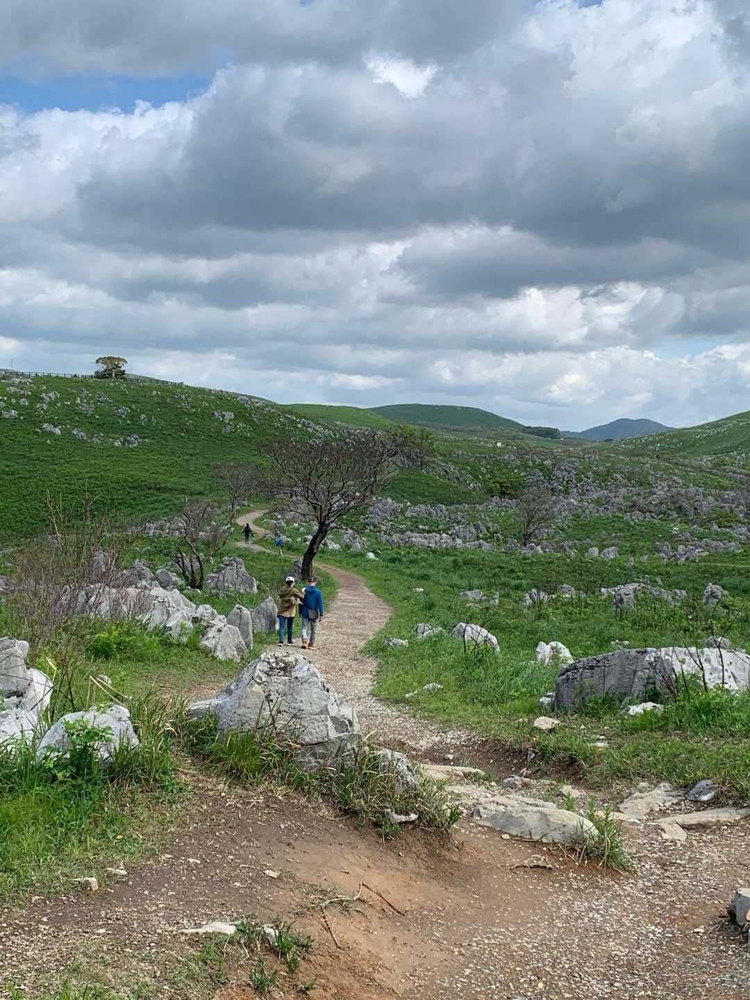 若竹山 往復コースの写真