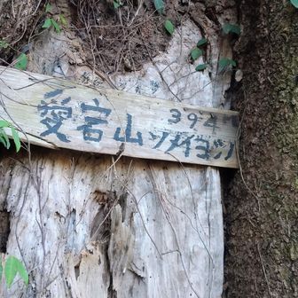 愛宕山 山名板