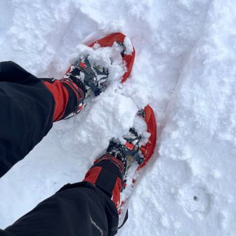 山頂近くまで来て気がつきましたー！

スノーシュー左右逆に履いてた🤣
