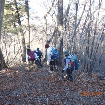 急坂に落ち葉が厚く積もり滑る滑る