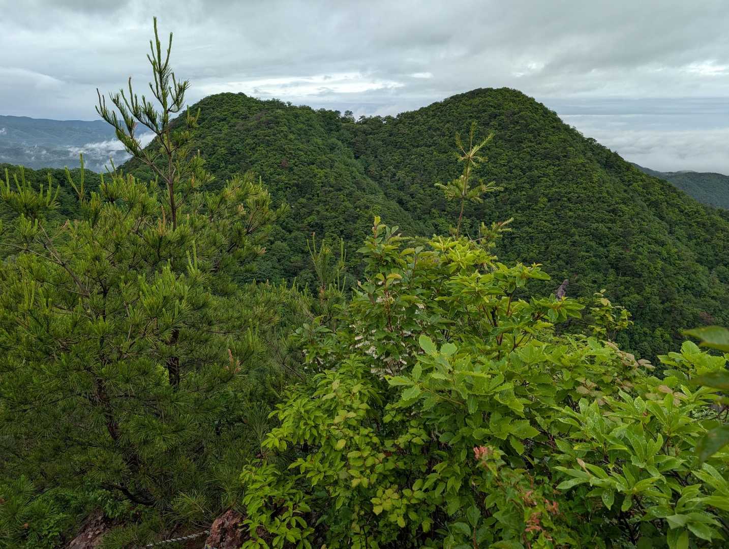 展望岩から見た鞍掛山