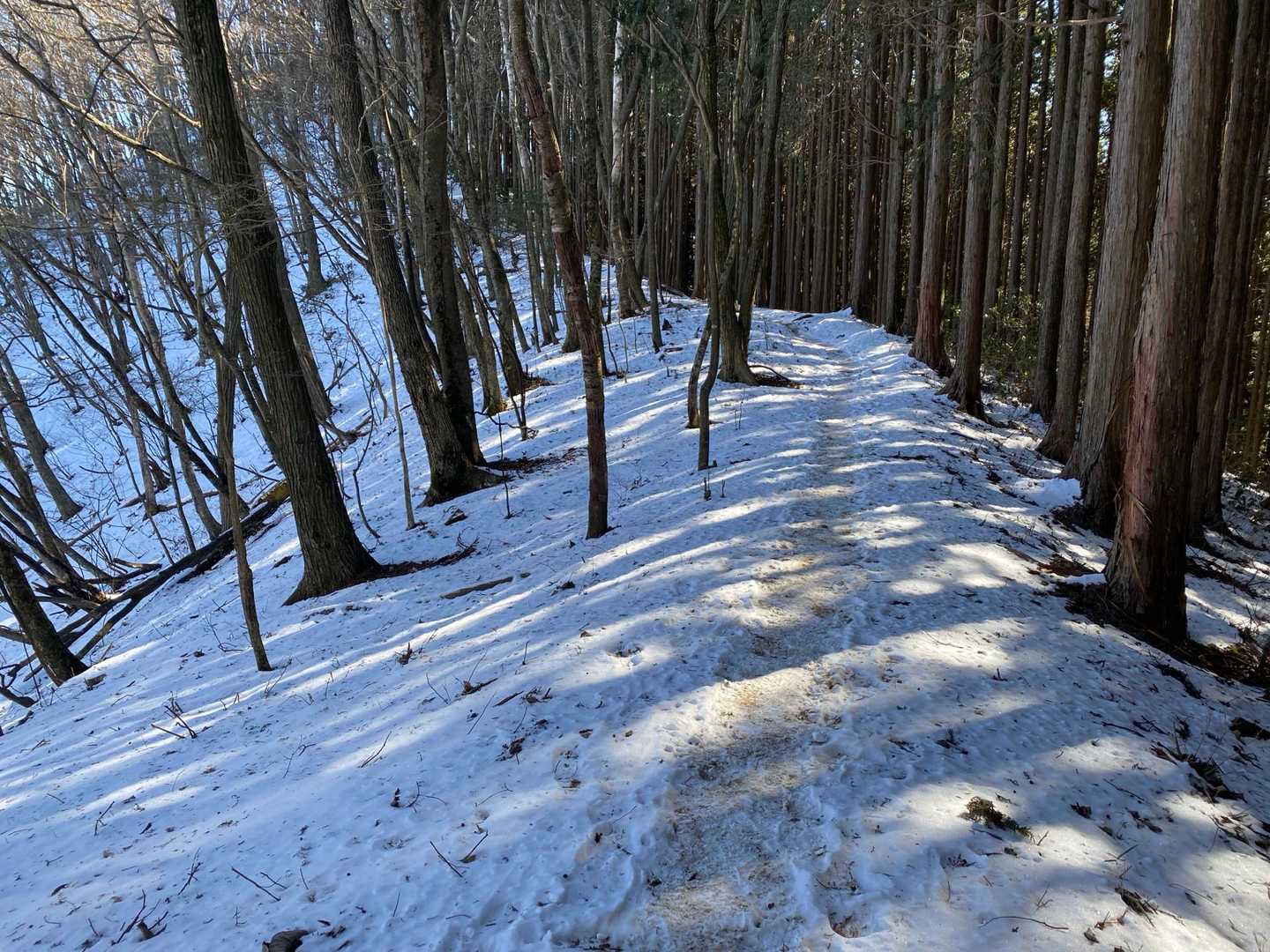 この辺りから雪がしっかり残っている道になって来ました