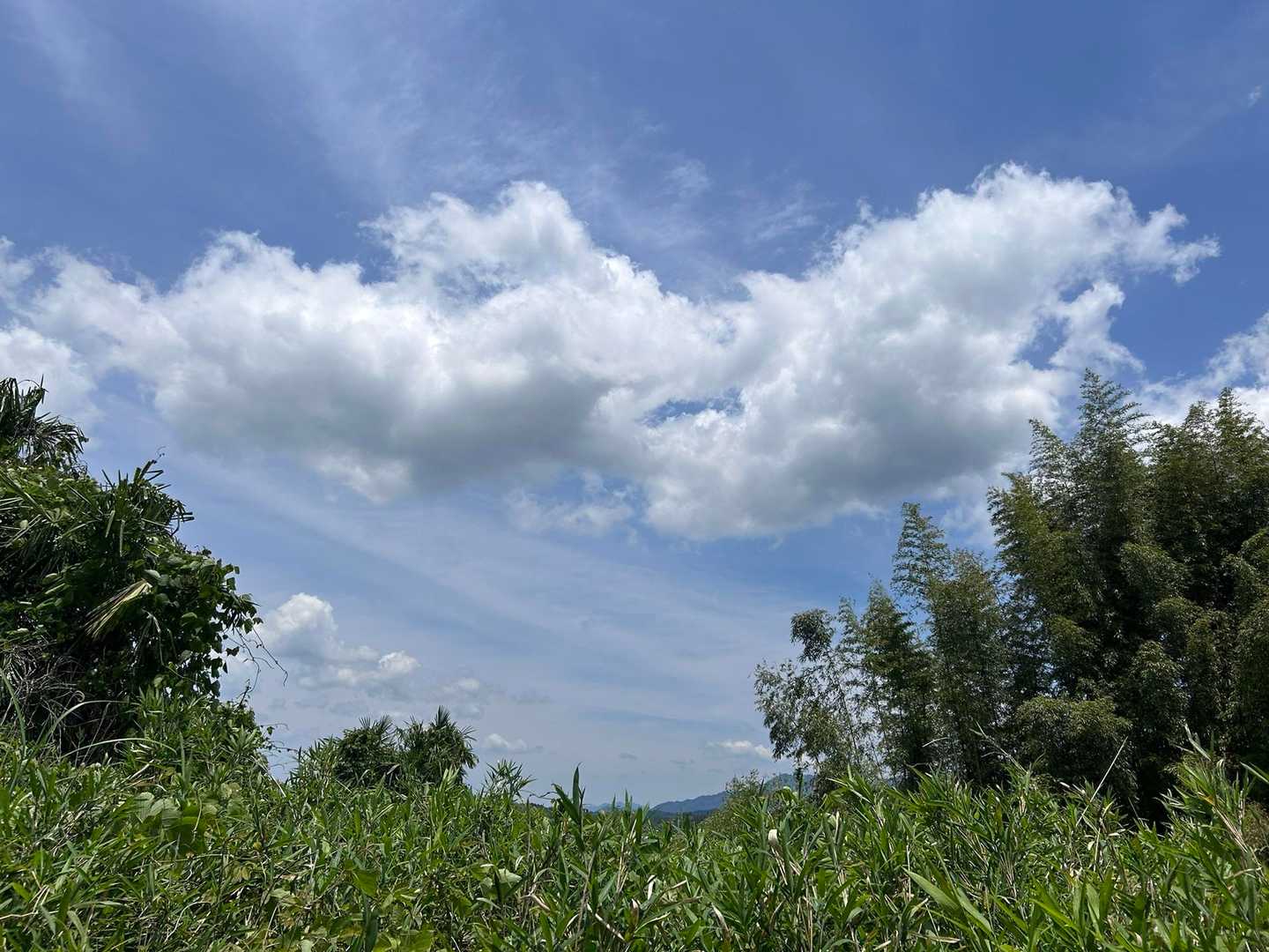 下友田公民館バス停-雨乞山登山口-雨乞山 往復コースの写真