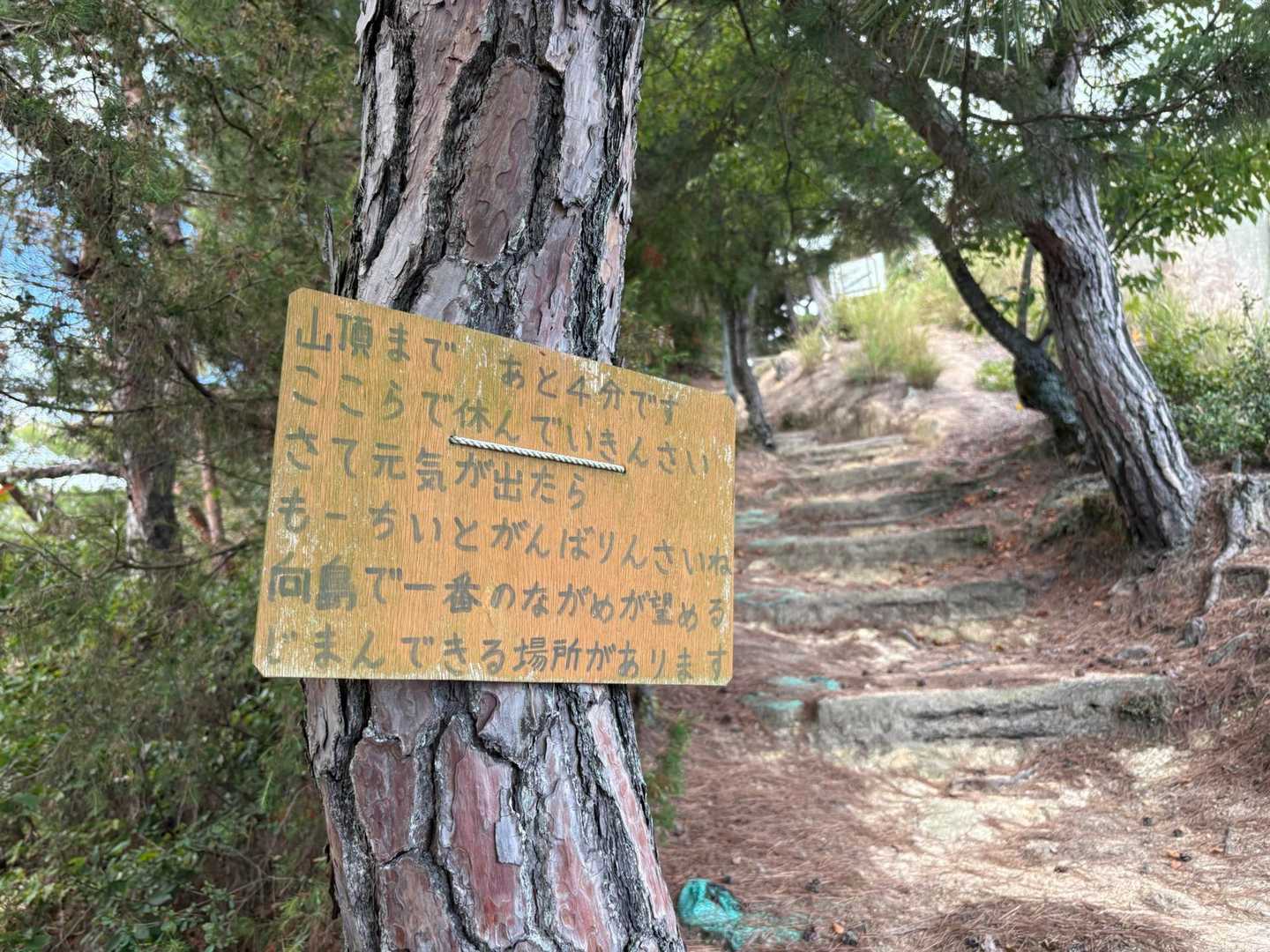 高見山遊歩道入り口-高見山 往復コースの写真