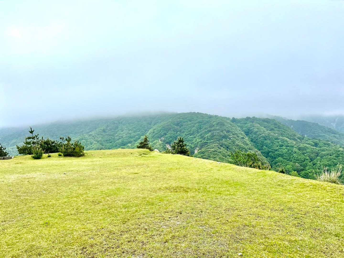 芝生広場からの竜ちゃん
雲に覆われて、小さくなってマス😂