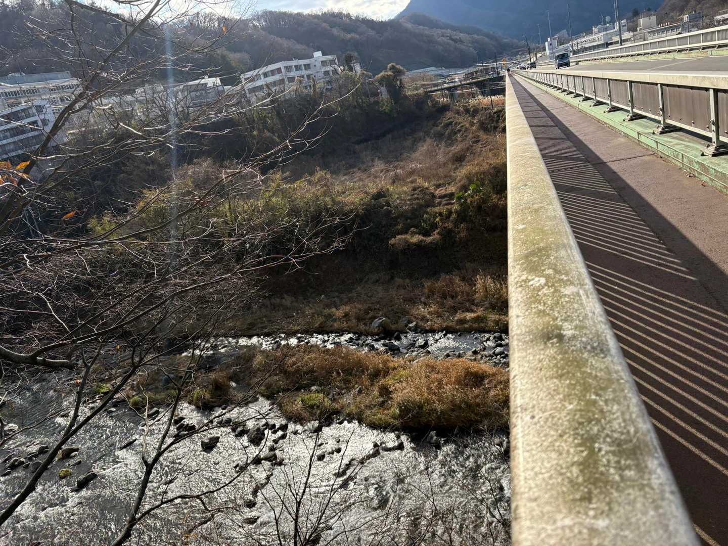 山の高度感は大丈夫だけど、下が海とか川になってる橋はめちゃくちゃ苦手で、橋の床が抜ける想像をしちゃうから渡るのが怖かった💦