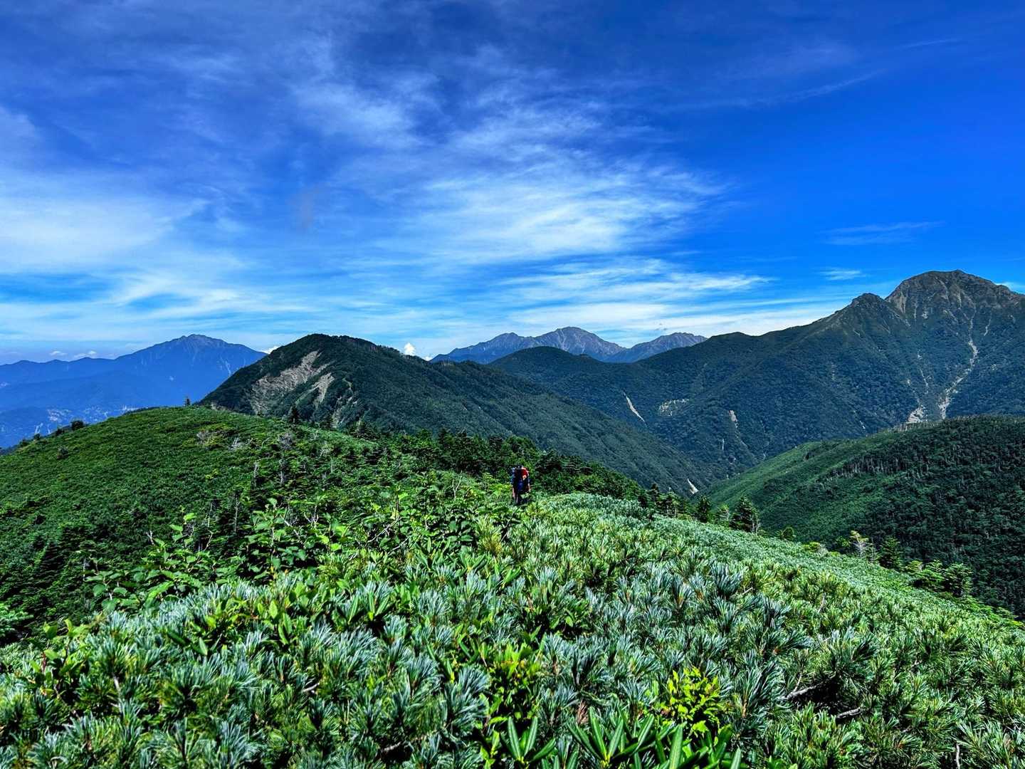 越路バス停-鳥倉登山口-三伏峠-三伏山-本谷山-塩見岳-塩 往復コースの写真