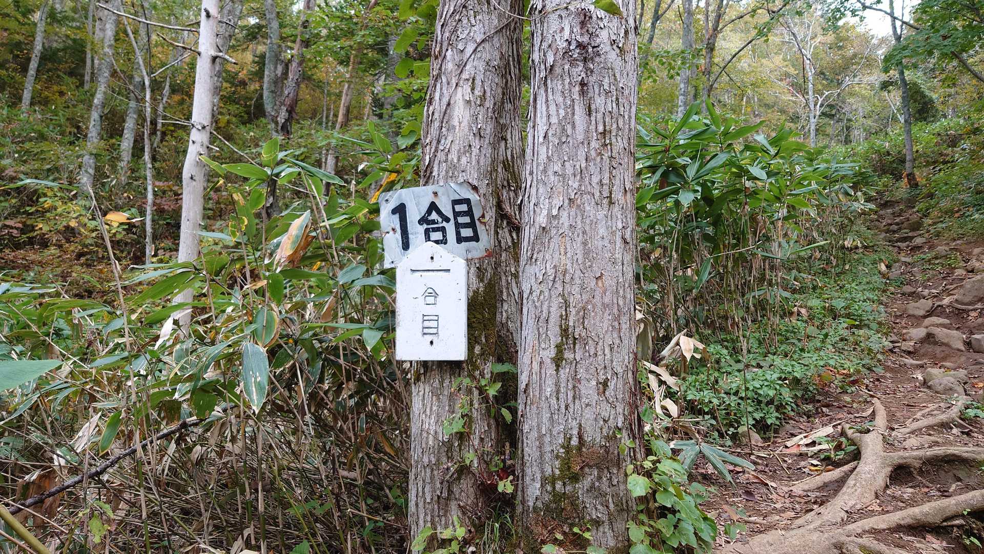 〇合目の標識が有って目安になります