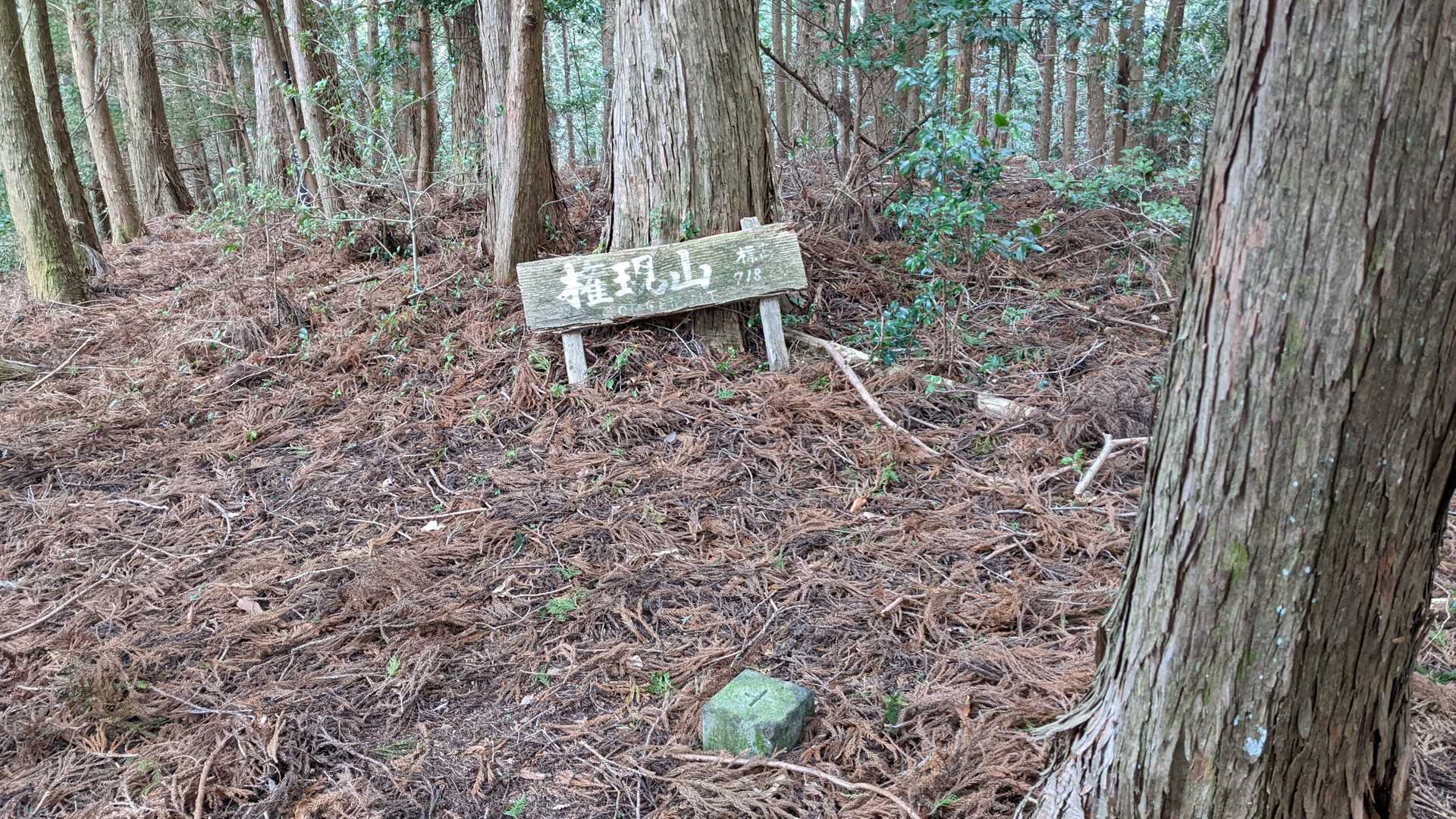 山頂看板が嬉しい🥹