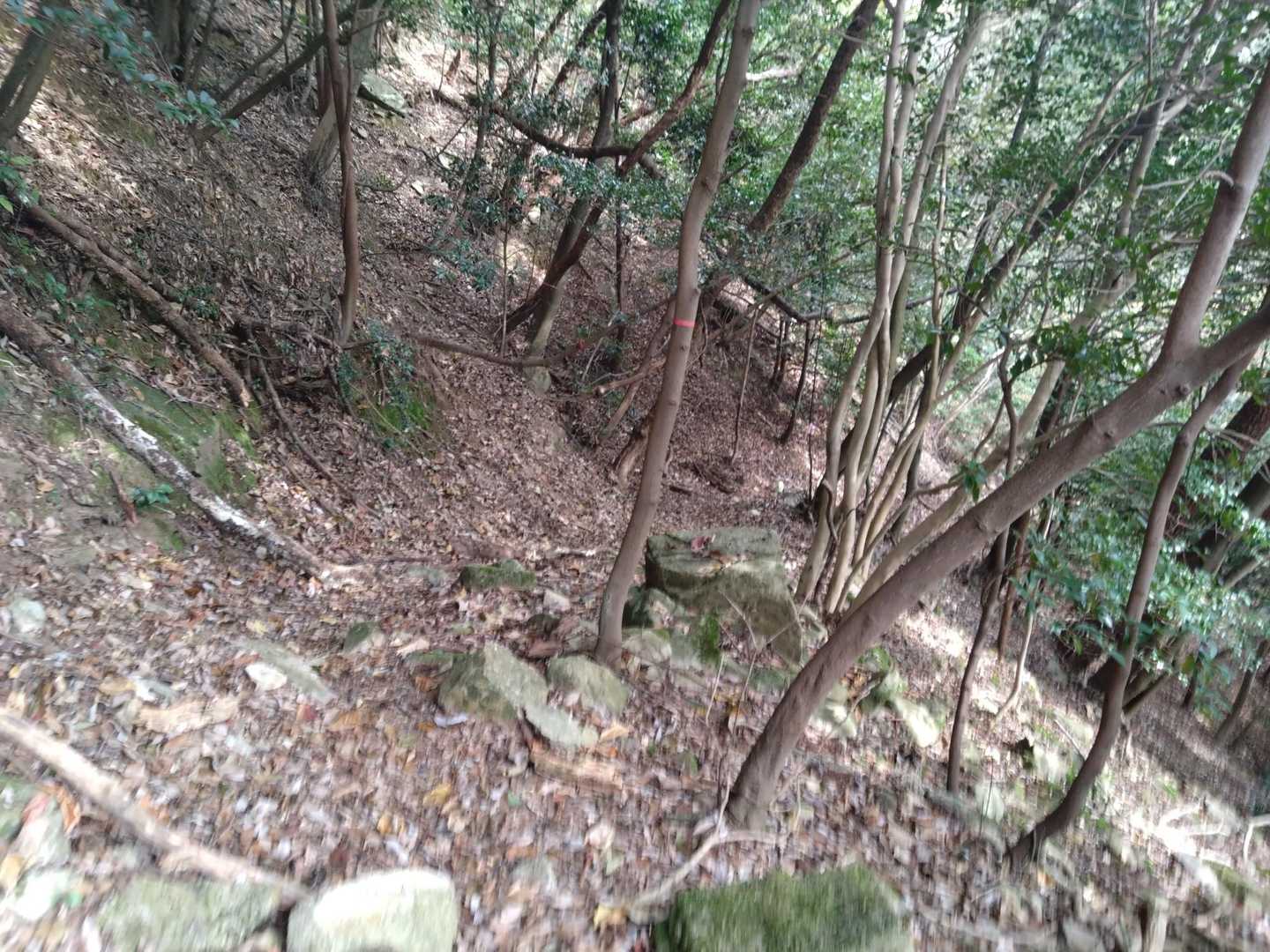 岩がゴロつく道を九十九に下ります。なかなかの勾配ですが下山は間もなくです。
楽しい1日でした。(*´艸｀*)