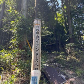 登山道はここまで