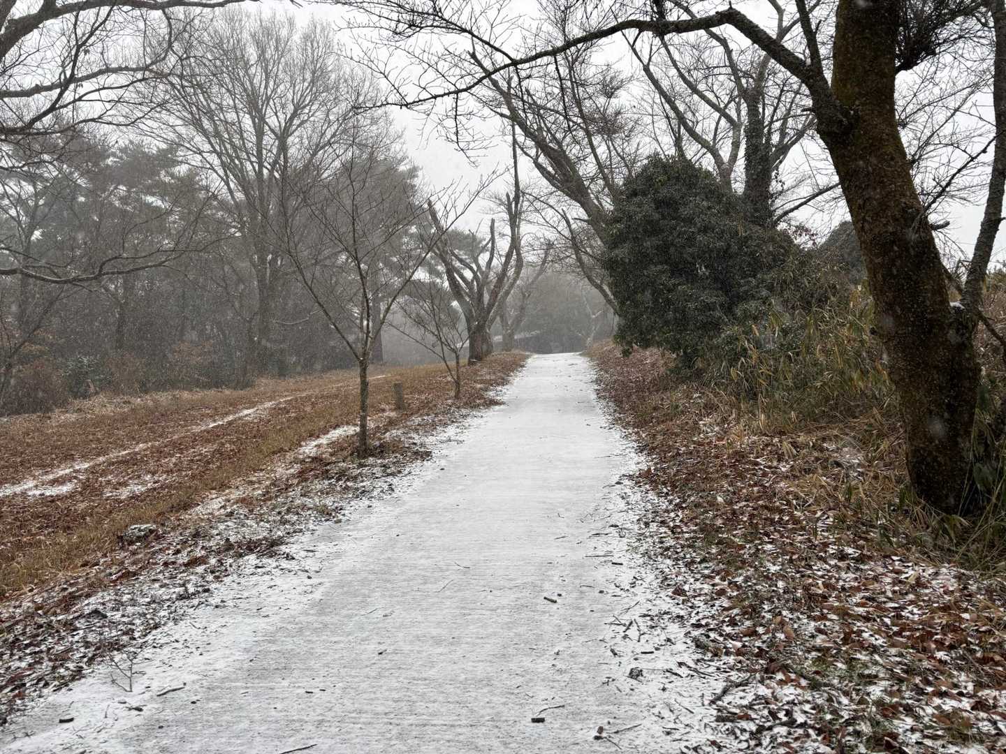一瞬でこうなりました☃️
凄いでしょ😆