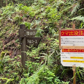 熊出没注意⚠️⚠️