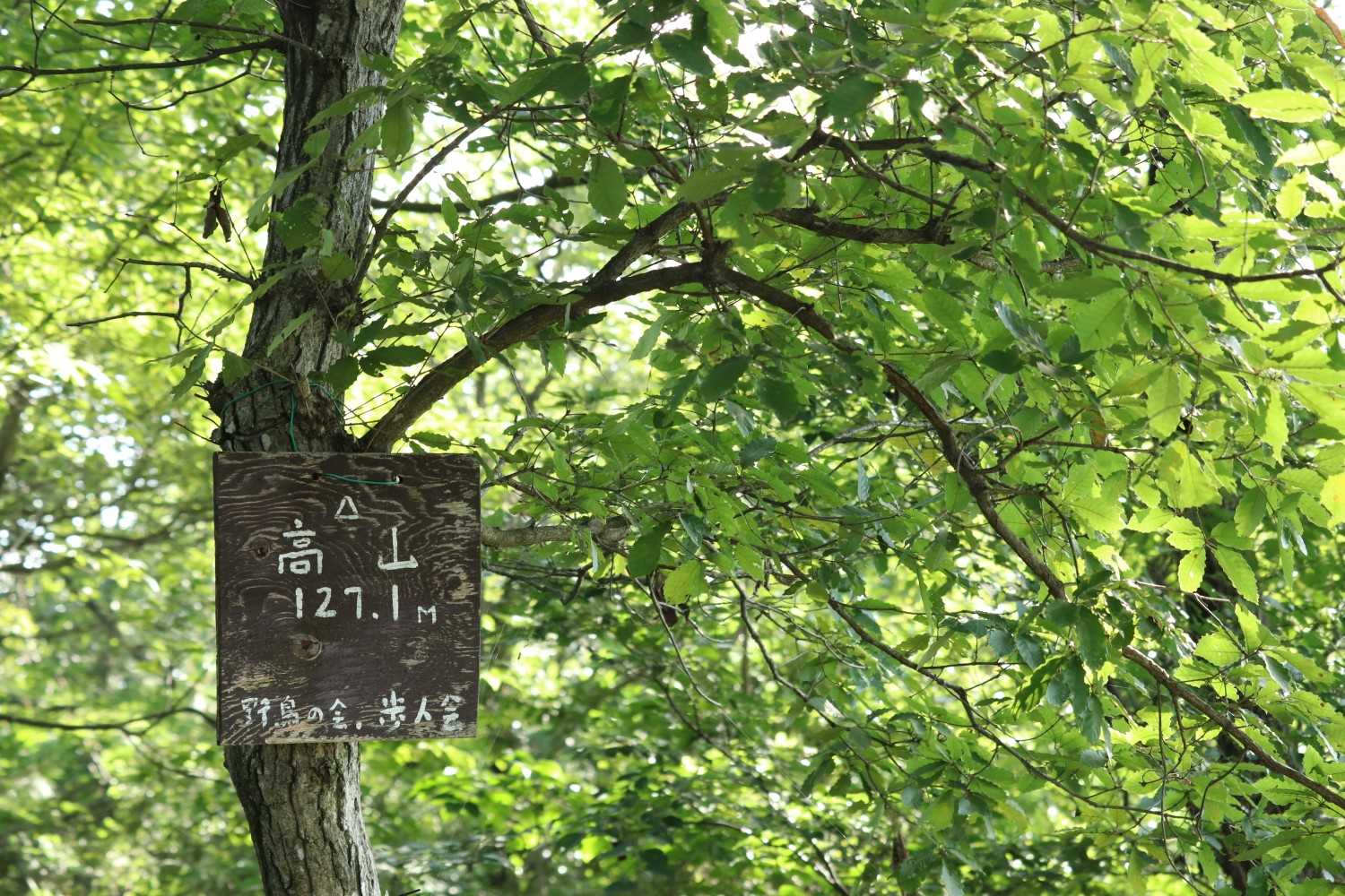 あっという間に　高山