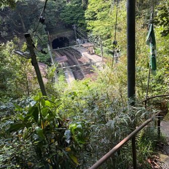 ここ道？ってところを通ってきたら塔ノ沢駅が見えてきました。降りたホームにスイカかざす機械がありました。