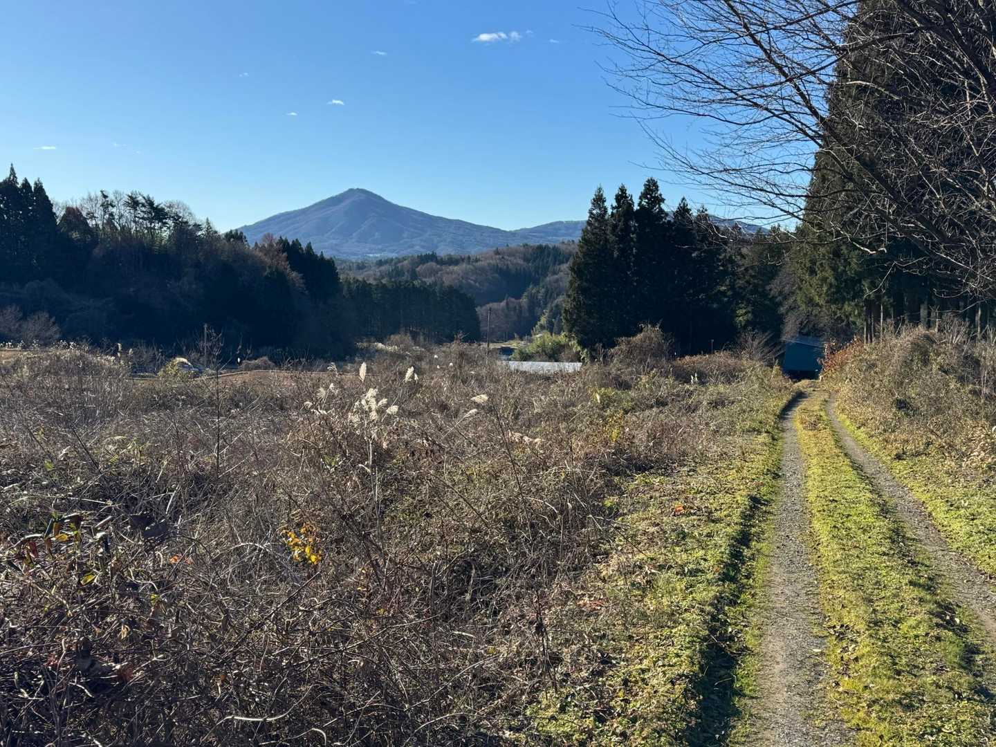 下山時には正面に蓬田岳が立派