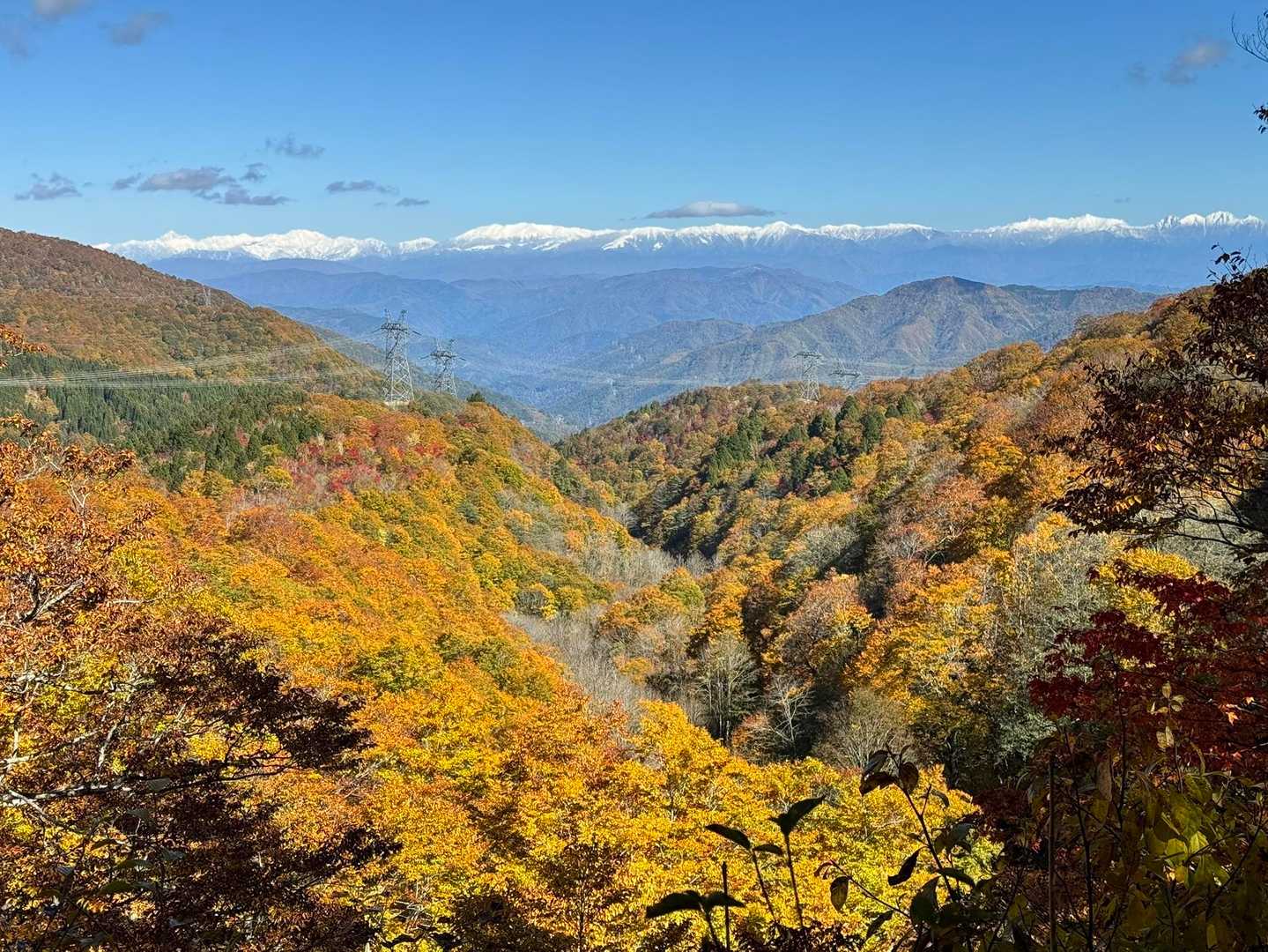 晴れた✨北アルプスと紅葉
下山時にビューポイントにて
剱岳から穂高連峰まで