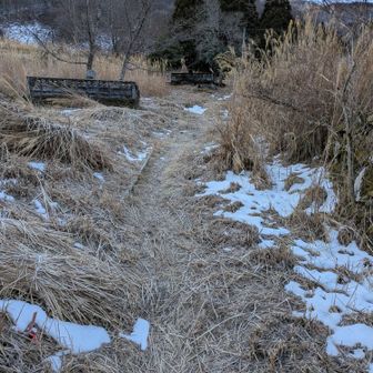 登山開始。序盤の植林地で道を間違い、右往左往しました。