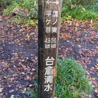 半分は、過ぎましたね。
足し算すると、えーと、片道10.5kmてことだね。